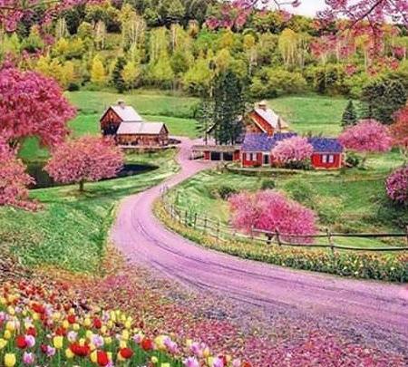 عکس های طبیعت تنهایی