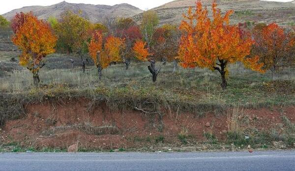 عکس طبیعت زیبای قزوین