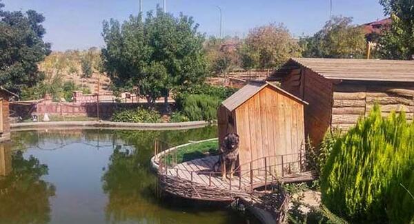 عکس طبیعت زیبای قزوین