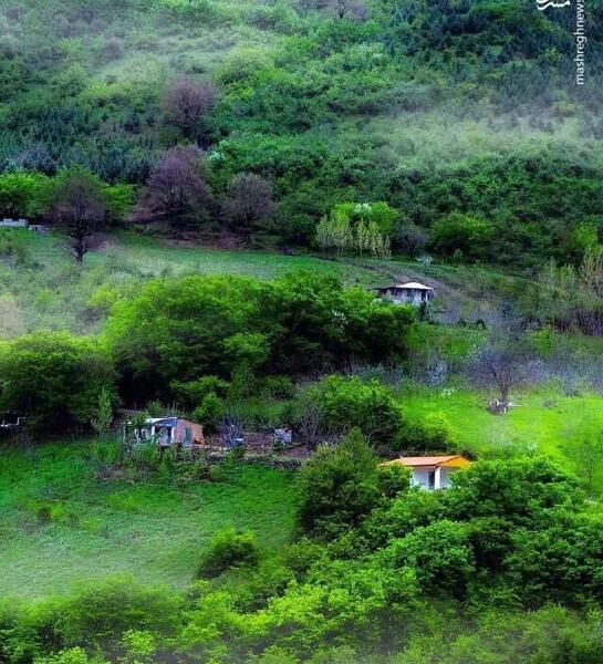 عکس طبیعت زیبای قزوین