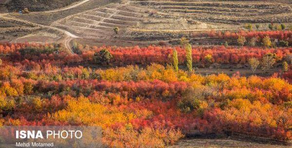 عکس طبیعت زیبای قزوین