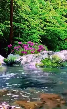 عکس منظره سنتی