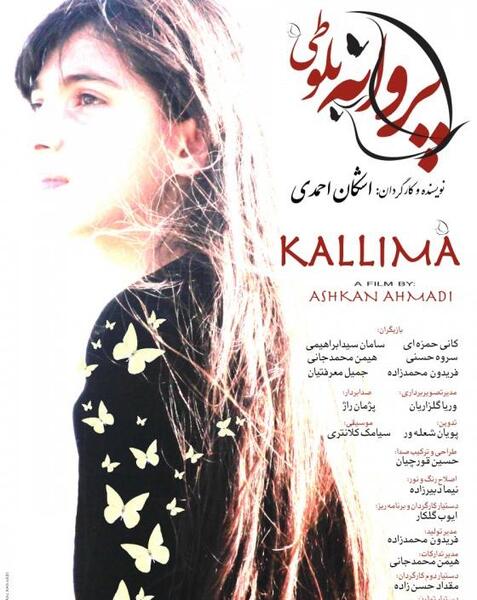 عکس پروانه بلوطی
