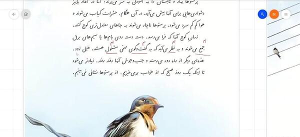 عکس صفحه فارسی چهارم