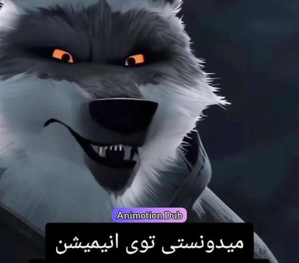 عکس گرگ چکمه پوش