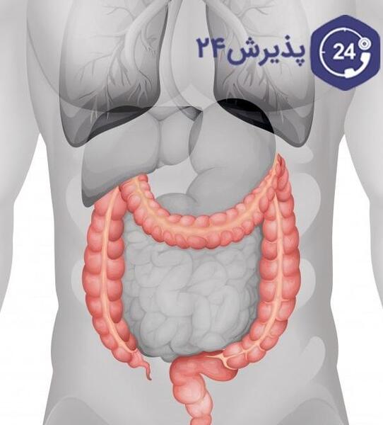 عکس داخل شکم انسان واقعی
