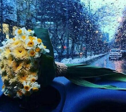 عکس گل رز داخل ماشین