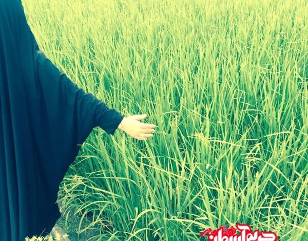 عکس پروفایل دختر با حجاب در طبیعت