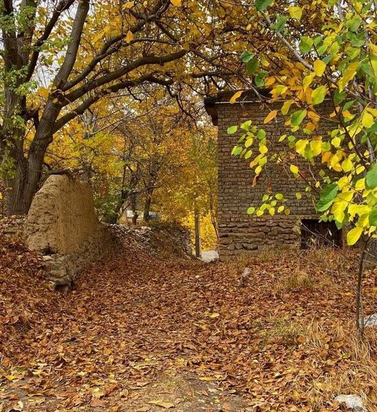 عکس پاییز خوانسار