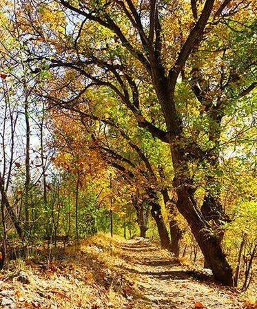 عکس پاییز خوانسار