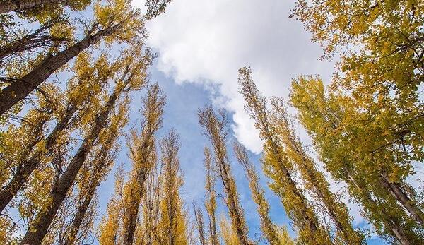 عکس پاییز خوانسار