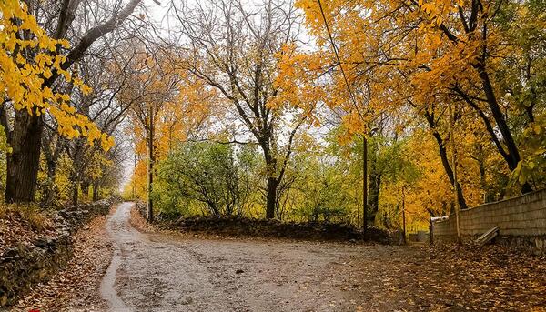 عکس پاییز خوانسار