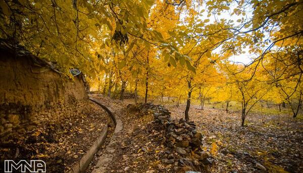عکس پاییز خوانسار