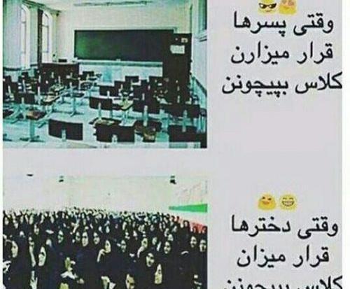 عکس های خنده دار طوطی