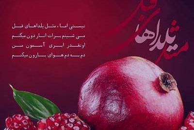 جدیدترین عکس شب یلدا