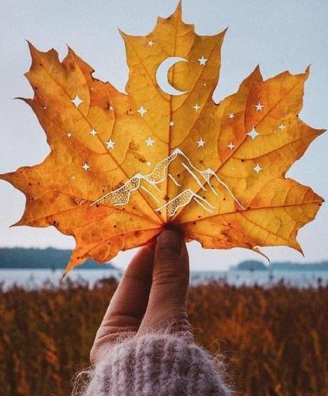 عکس پروفایل جدید امسال پاییزی