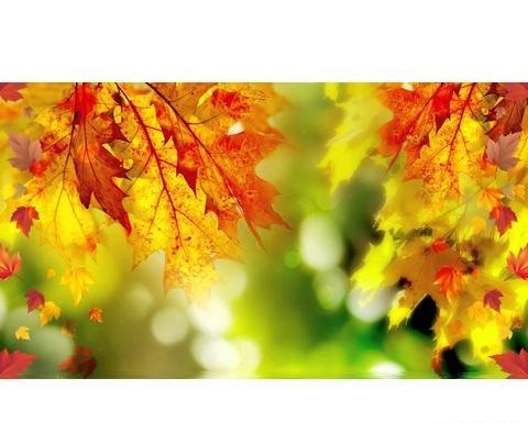 عکس پاییزی غم