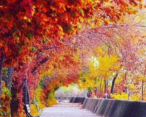 عکس پاییزی غم