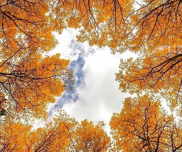 عکسهای زیبا از طبیعت زیبا