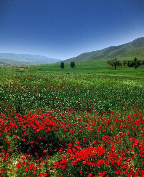 عکسهای زیبا از طبیعت زیبا