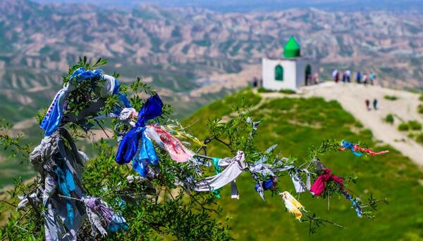 عکس های خالد نبی