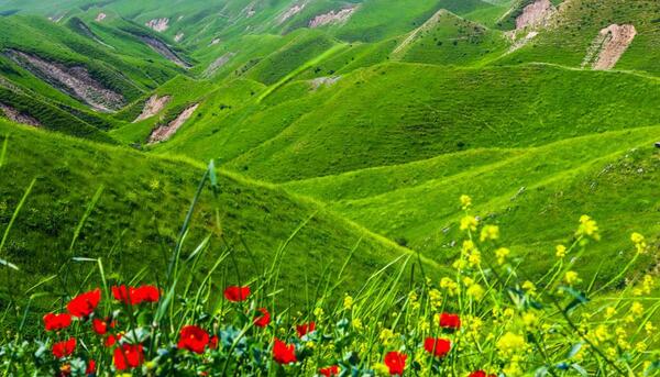 عکس های خالد نبی