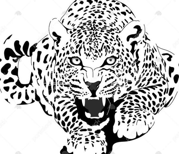 عکس یوزپلنگ سیاه و سفید
