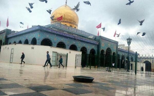 عکس دختر زیبای سوریه