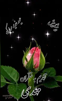 عکس شکوفه ی سیب