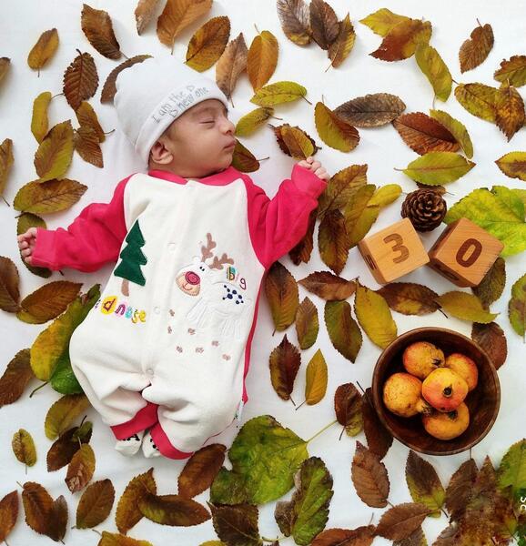 عکس پاییزی از نوزاد