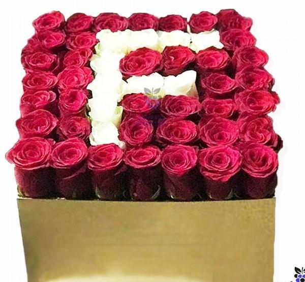 عکس گل رز ف