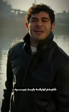 ژست عکس هانده ارچل