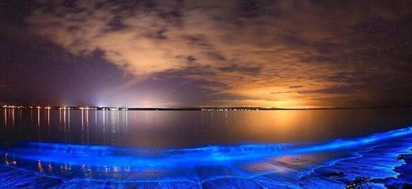 عکس از دریای ژاپن