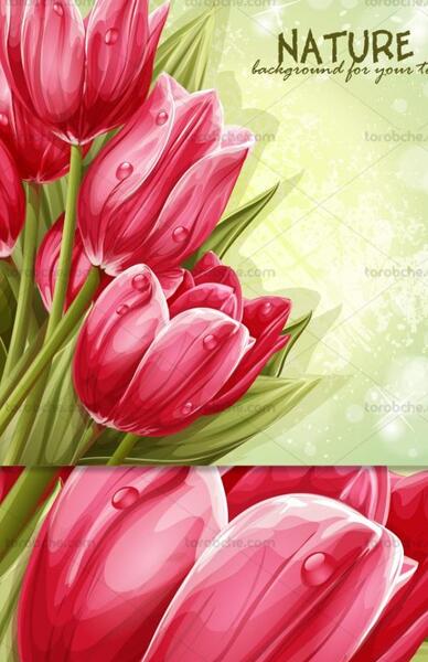 عکس گل لاله برای نقاشی