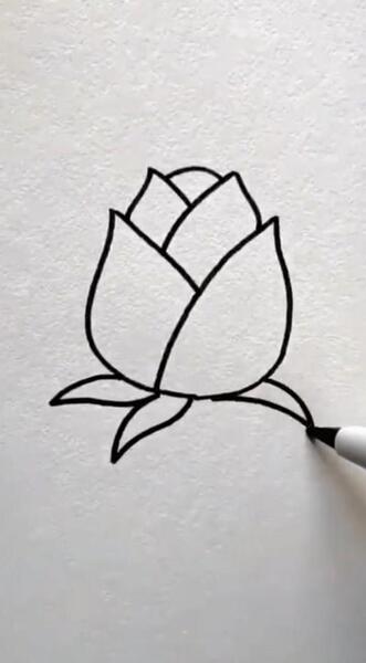 عکس گل لاله برای نقاشی
