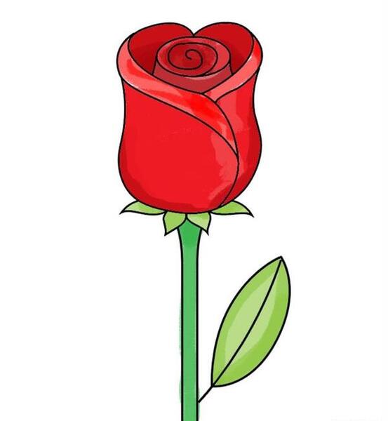 عکس گل لاله برای نقاشی