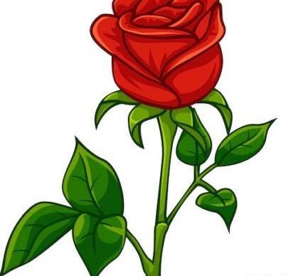 عکس گل لاله برای نقاشی