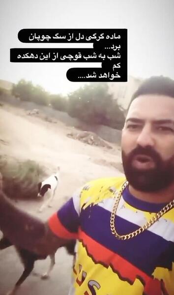 عکس پیمان ادیداس لاتی
