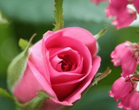 عکس جالب زیبا برای پروفایل