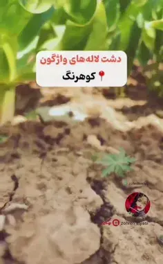 عکس برف چهارمحال بختیاری