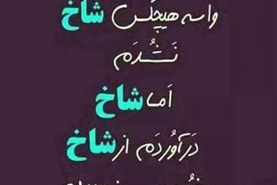 عکس نوشته با متن سنگین