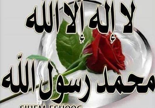 عکس پروفایل برای ثنا