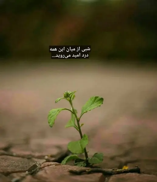 عکس های انگیزشی بدون متن