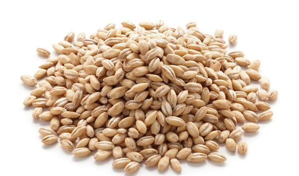 عکس جو بهمن