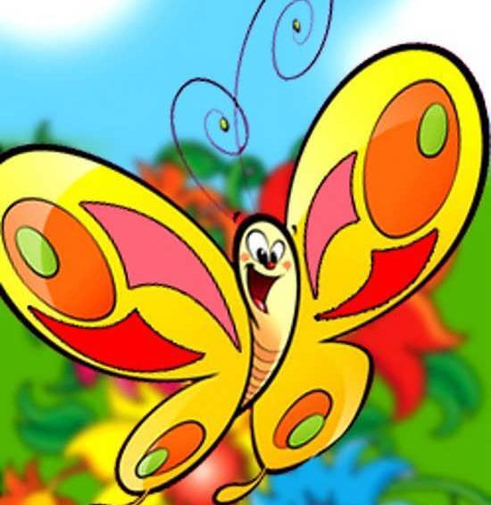 عکس غذای پروانه