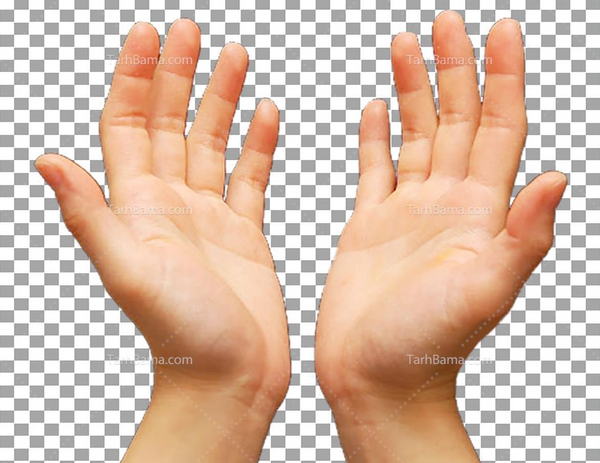 عکس دست