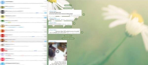 عکس رقیه شورای شهر بابل