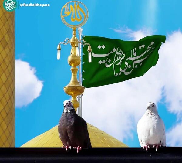 عکس کربلا در کربلا میماند اگر زینب نبود