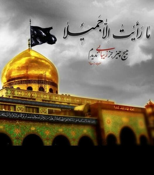 عکس کربلا در کربلا میماند اگر زینب نبود