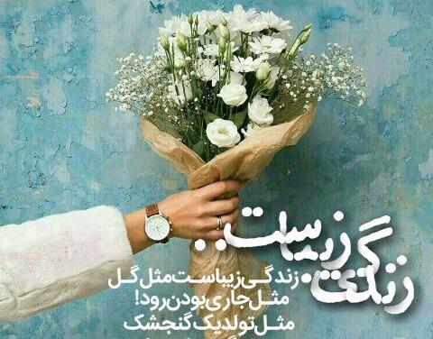 فلسفی عکس نوشته زندگی زیباست
